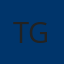 Tadesse Gidey Business Group logo