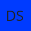 Logo DSI