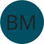 Badger Motors Logo