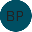 Brandywine Auto Parts Logo