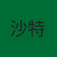 沙特阿拉伯