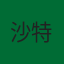 沙特队徽