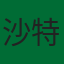 沙特队