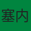 塞内加尔队旗