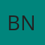 BNESIM