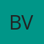 Bachman Auto Glass of Virginia logo
