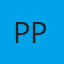 PT PLN (Persero)