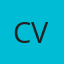 Crystal Clear View logo