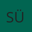 SÜVARİ