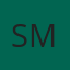 Sanvet MMC
