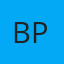 Beliew Paint & Glass Co logo