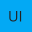 US Automotive Inc logo