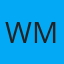 Windshield Magic logo