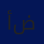 أحمد يوسف ضميري