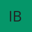 Ibsolution Gmbh