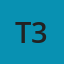 t31os_