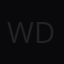 WDT