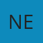 Netguru Logo