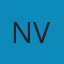 Nielsen Ventures logo