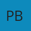 The Global Airline Industry PDF