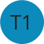 Logo T1