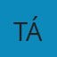 St. Teresa of Avila 100 Themes on Her Life and Work EPUB