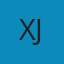 习近平新时代中国特色社会主义思想学习纲要 /Xi Jinping xin shi dai Zhongguo te se she hui zhu yi si xiang xue yi gang yao PDF