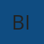 Logo BIZSAVER