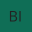 Bigbitecompany Global logo