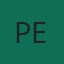 PEPFECTION PTE. LTD. logo