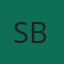 SBR chartered Accountants logo