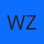 wzxinancom