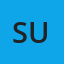 Sun Pharmaceutical Industries, Inc (USA)