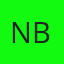 Nafis Bashir