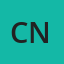 Central English Neuquen