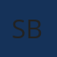 Logo SIDIANE ZEFERINO BORGES