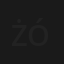 Żółw
