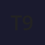 T9