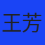 专家王芳