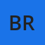Breidablik W logo