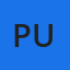 Puente Alto logo