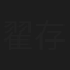翟存元