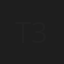 T3