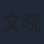 文晓依