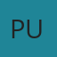 PINEDO USHIÑAHUA