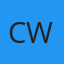 Chattanooga Windshields logo