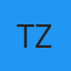 Tint Zone logo