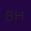 BLANES HOLDING