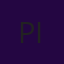P. TANG INVEST