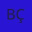 bilge çalışkan